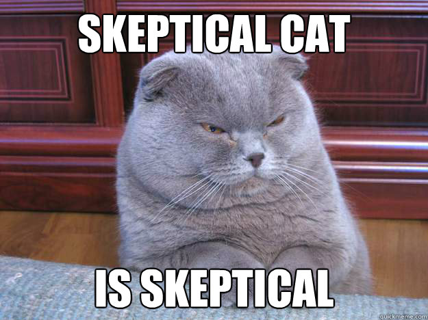 Dat skeptical cat tho